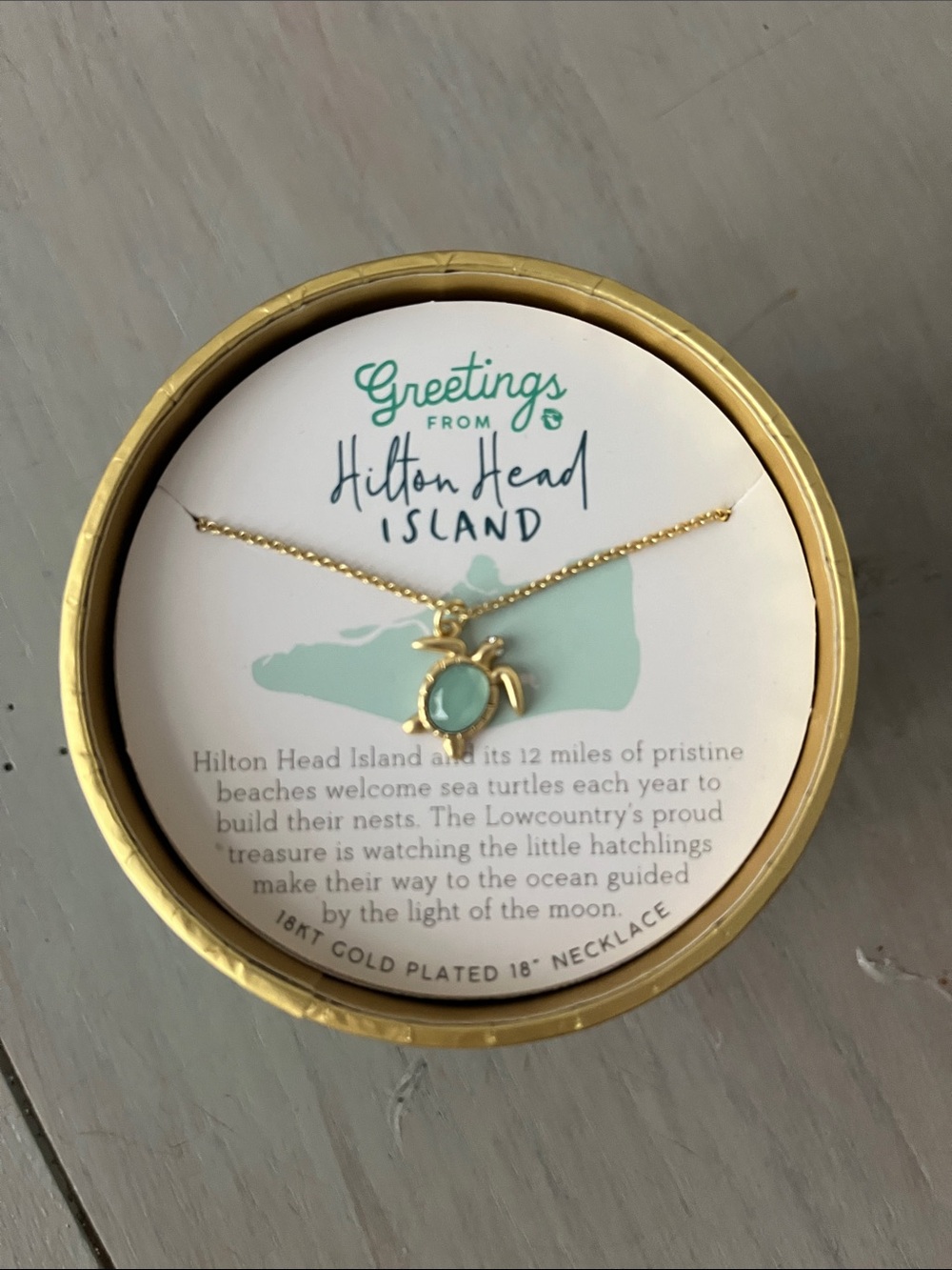 Spartina 449 Gold Sea Turtle Necklace with Aqua Charm